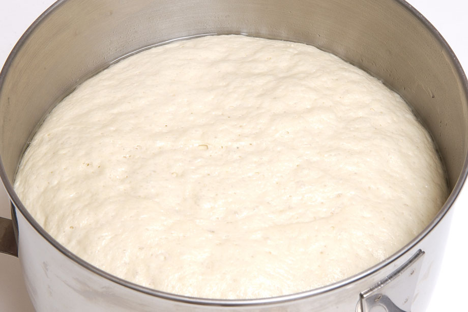 Basic Stand Mixer Bread Dough Recipe