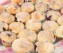 Mini Blueberry Muffins