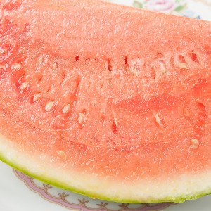 Slice of Seedless Watermelon