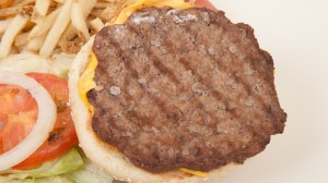 Fast Food Burger Patty