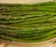 Pan Grilled Asparagus