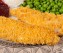 Oven Fried Chicken Breast Tenders
