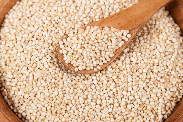 white quinoa seeds
